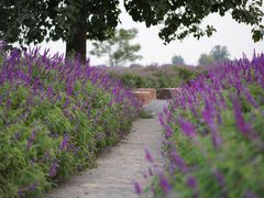 -汉长安城未央宫国家考古遗址公园