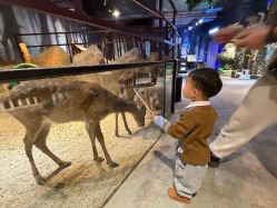 -酷嗒动物文化乐园(cutezoo西溪乐天城店)