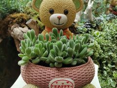 -花之城