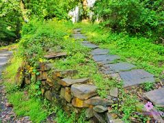 -石台牯牛降景区