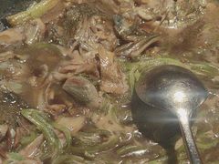 -芙蓉堂(武汉天地店)