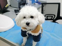 -萌兽医馆·绝育·24小时内科·宠物医院(德胜店)