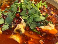 -龙翔山庄雷鸡肉(青城后山泰安古镇店)