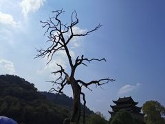 -上甘棠村