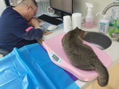 -美联众合动物医院·24h京西诊疗中心