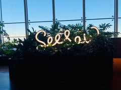 -Seesaw Coffee(朝阳大悦城店)