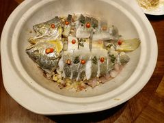 砂锅焗深海大黄鱼-红城阁·上海味道(四平路店)