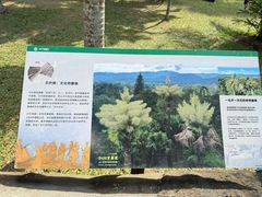 -中国科学院西双版纳热带植物园