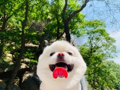 -天津盘山风景名胜区