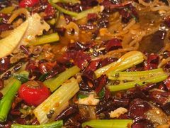 -老板恋上鱼(恒隆广场店)