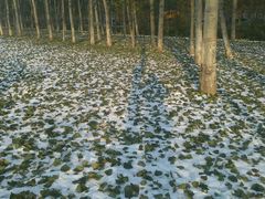 -比亚森自助烤肉料理(裕华店)