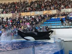 -上海海昌海洋公园