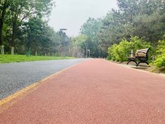 -大兴滨河森林公园