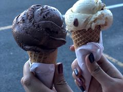 -Dooley's Premium Ice Cream