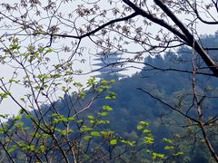 -临平公园(临平街道)