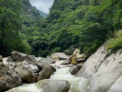 -青峰峡国家森林公园