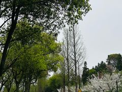 -南北湖风景区