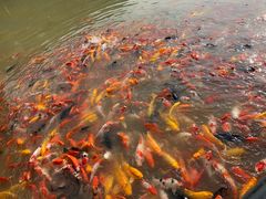 -泰安地下龙宫景区