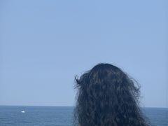 -涉地可支