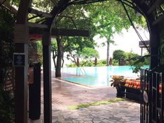 -卷心菜和避孕套餐厅(Pattaya)