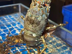 -博林天瑞喜来登酒店·西丽尚膳