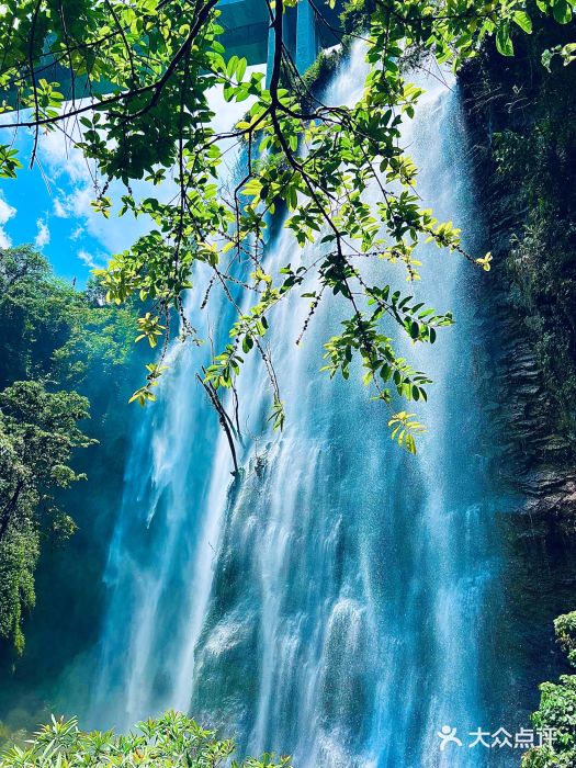 古龙山大峡谷图片