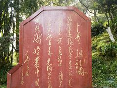 -南山植物园