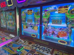 -嗨翻Hi-Fun竞技主题乐园·蹦床团建生日聚会(五棵松华熙店)