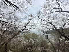 -棋盘山风景区