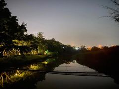 -南宁良凤江国家森林公园