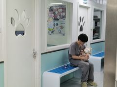 -达爱动物医院·犬猫分区·CT·复杂眼科(远洋山水分院)