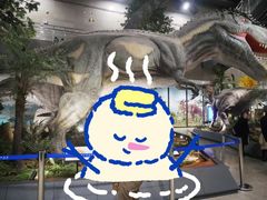 -湖南省地质博物馆