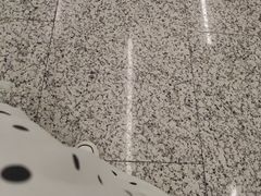-广州白云国际机场-T2航站楼