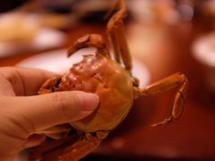 -海拉尔蒙古包(房山长阳总店)