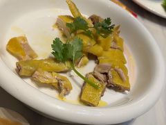 -陶缘一号·四季缘·老字号顺德菜·户外婚礼家宴(西滘店)
