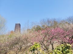 -牛首山文化旅游区