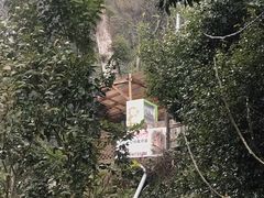 -岚山猴子公园