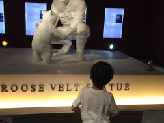 -成都泰迪熊博物馆