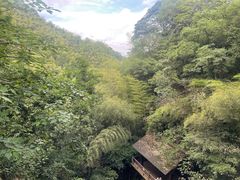 -莫干山风景区