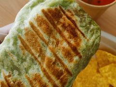 -油梨树 AVOCADO TREE(亮马桥店)