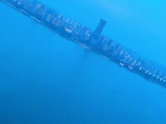 -秋水广场音乐喷泉