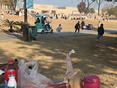 -盘龙城国家考古遗址公园