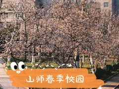 -山东师范大学(千佛山校区)