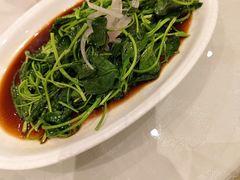 -红杏酒家(凤凰店)