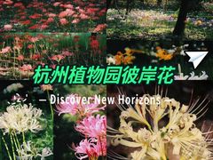 -杭州植物园