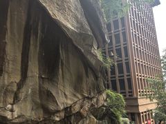 -陕西省红河谷森林公园