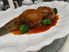 -丁老爷子苏香圆