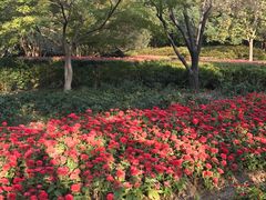 -范蠡湖公园