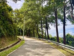 -风云岭森林公园