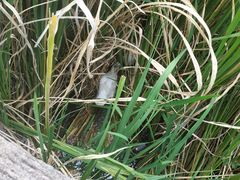 -成都市活水公园